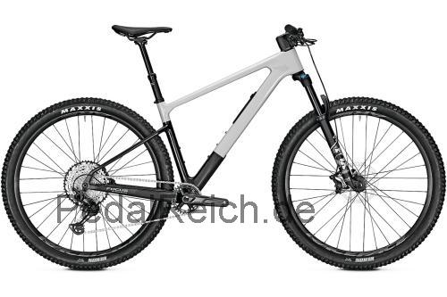 Focus Raven technische daten 